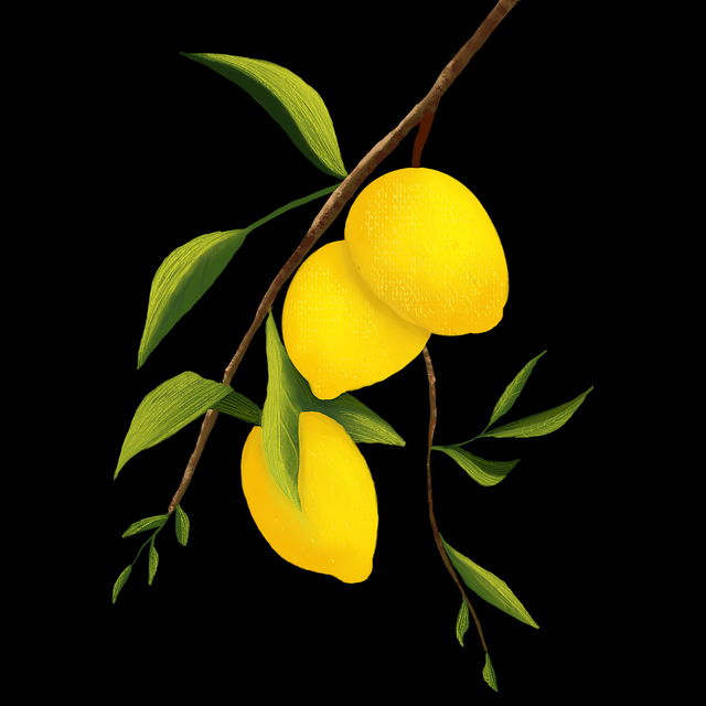 黑料网app全景揭秘生态：高能预警