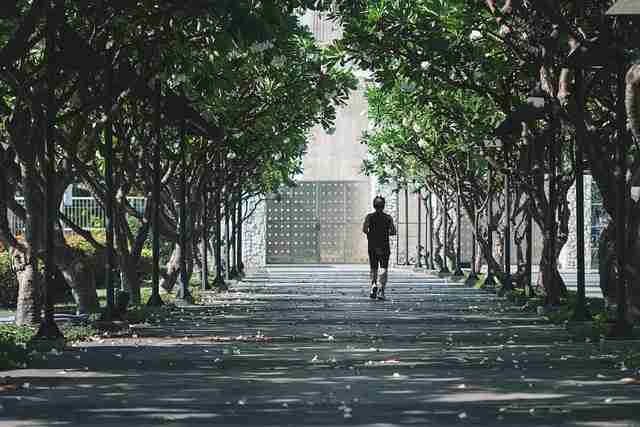 【鉴黄师官网入口】深度格局变迁纵览 - 策略指南，鉴黄师是什么单位